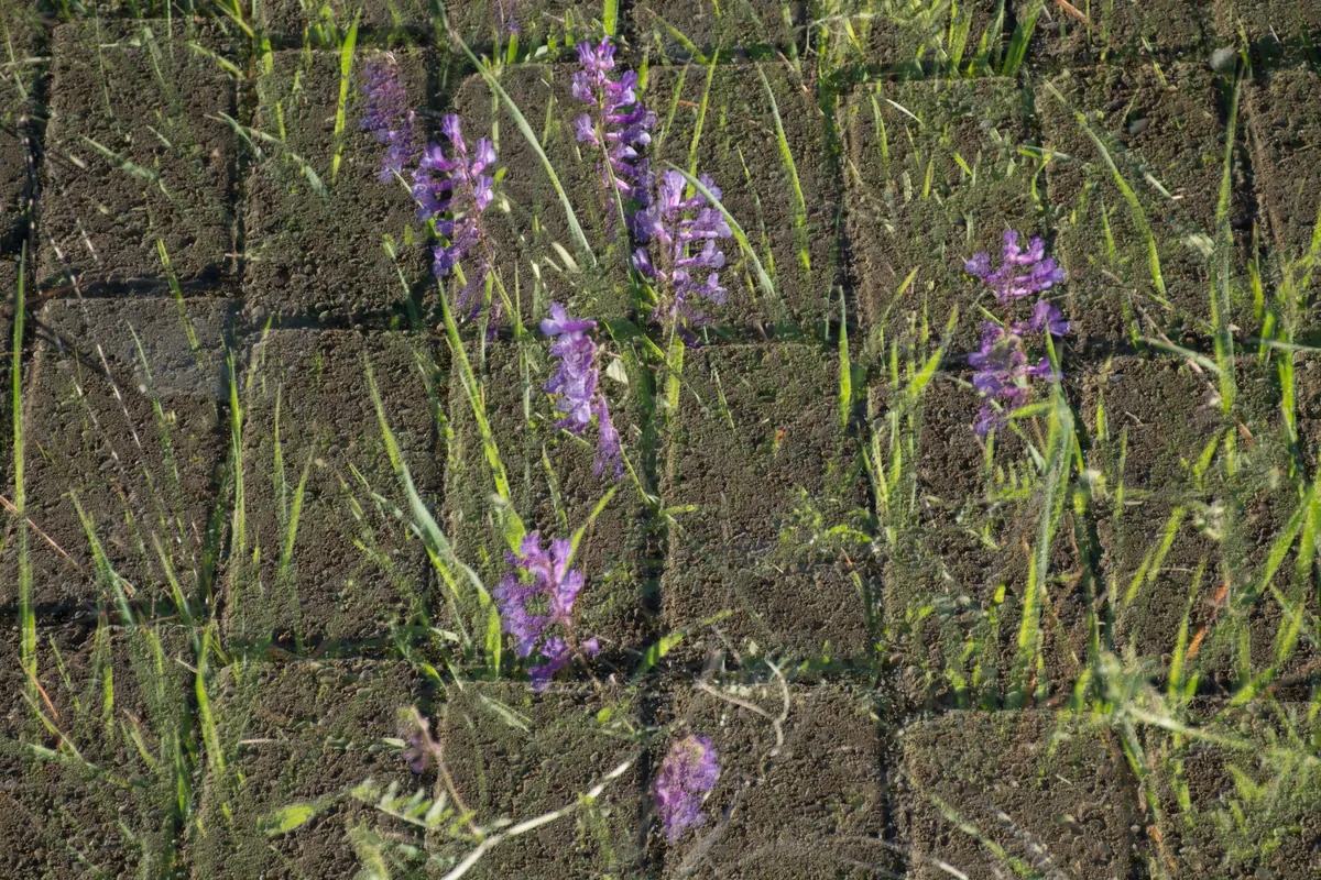 Armonía Estática - Miguel Ramos Oya | Minimalist Abstract Art | Color Field Photography